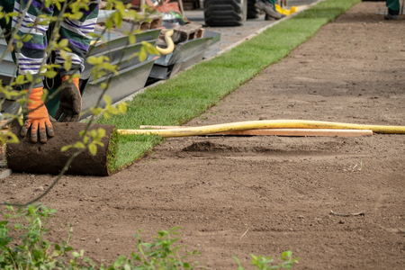 rolled turf is laid on a company siteの写真素材
