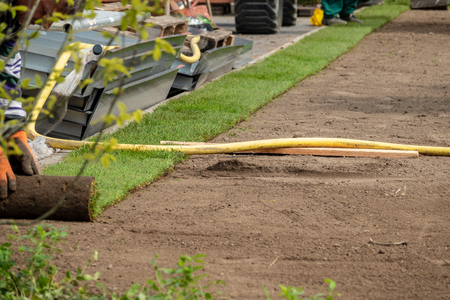 rolled turf is laid on a company siteの写真素材