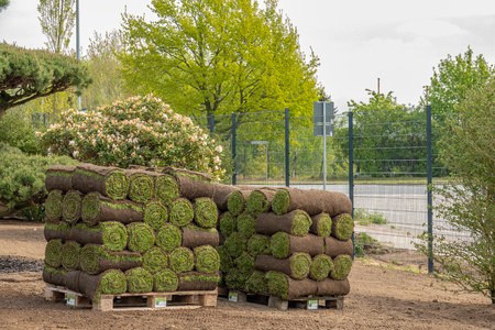 rolled turf is laid on a company siteの写真素材