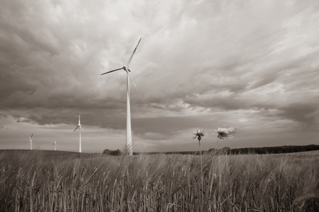 dunkle Gewitterwolken ziehen Ã¼ber grÃ¼ne Felder und rote Mohnsamen im Vordergrund hinwegの写真素材