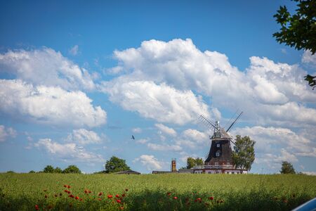 an old windmill stands on a canola field in front of a blue sky with white cloudsの写真素材