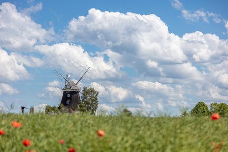 an old windmill stands on a canola field in front of a blue sky with white cloudsの写真素材