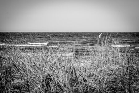 the beach of the Baltic Sea wind and swellの写真素材