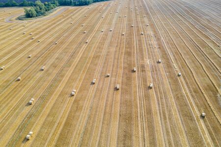 on a field lie numerous bales of strawの写真素材