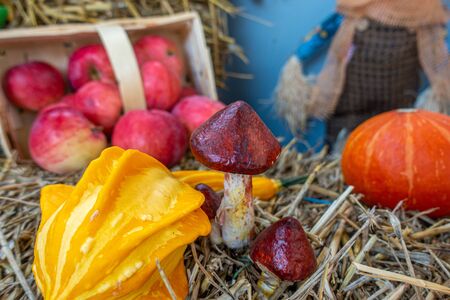 on a bale of straw apples and pumpkins were lovingly arranged as decorationの写真素材