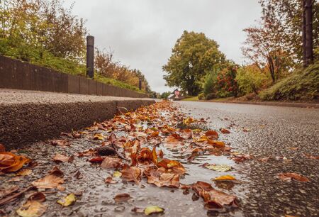 at the roadside lies brown foliage, which fell from the trees, in a puddleの写真素材