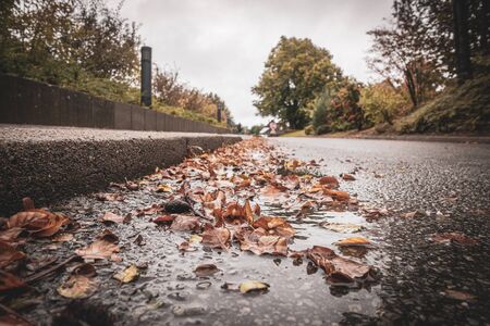 at the roadside lies brown foliage, which fell from the trees, in a puddleの写真素材