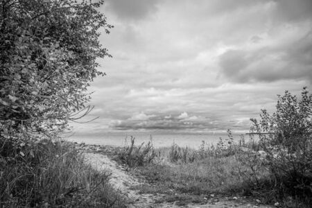 a path leads to the bay of TravemÃ¼nde in cloudy autumn weatherの写真素材