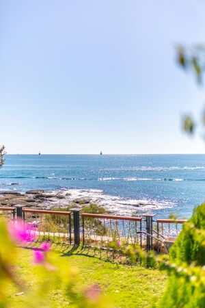 in the foreground is an oriental plant and in the background is the blue sea in beautiful weather