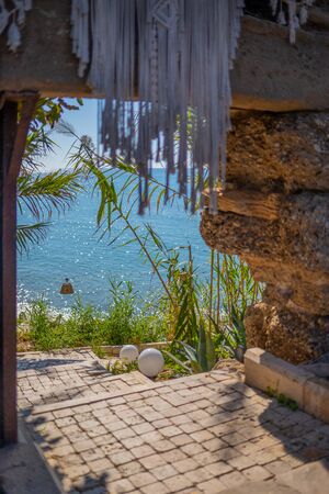 in the foreground is an oriental palm tree and in the background is the blue sea in beautiful weatherの写真素材