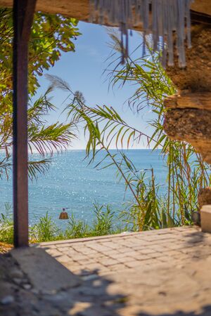 in the foreground is an oriental palm tree and in the background is the blue sea in beautiful weatherの写真素材