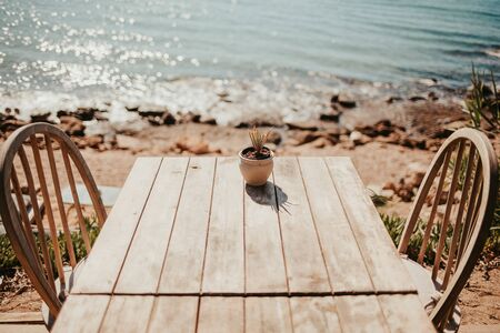 on an old wooden table stands a succulent one and in the background is the blue seaの写真素材