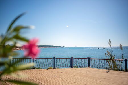 in the foreground is an oriental plant and in the background is the blue sea in beautiful weather
の写真素材