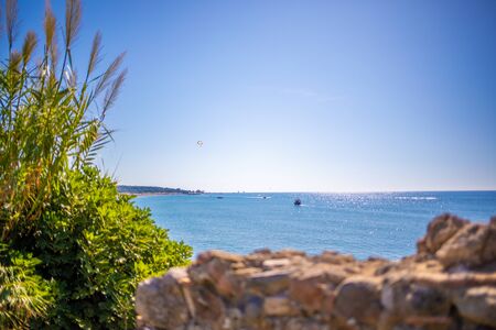 in the foreground is an oriental plant and in the background is the blue sea in beautiful weather
の写真素材