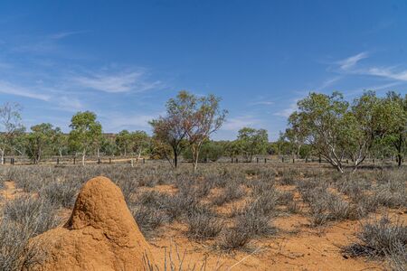 In the foreground is a huge termite heap in the Australian desert.の写真素材