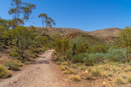 in the Australian outback a sandy path leads to the horizonの写真素材
