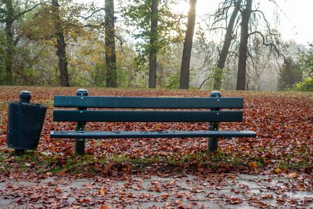 a park bench is in the fog early in the morning and next to it is a trash canの写真素材