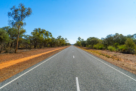 an australian highway leads through the middle of the outbackの写真素材