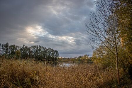 a landscape with a small lake in autumn with a cloudy sky and brown bushesの写真素材
