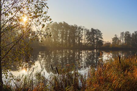 a lake lined with colorful trees in autumn in the bright morning lightの写真素材