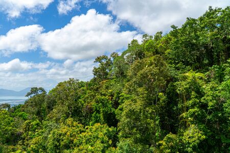 The Australian rainforest in the north of Australia near Cairns with green mountains and blue skies are white cloudsの写真素材