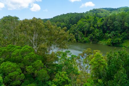 The Australian rainforest in the north of Australia near Cairns with green mountains and blue skies are white cloudsの写真素材