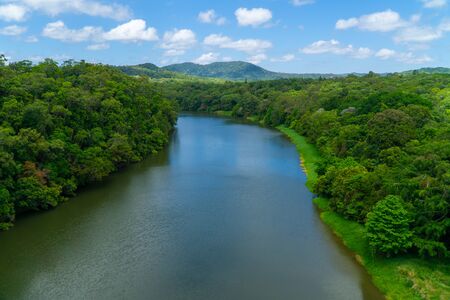 The Australian rainforest in the north of Australia near Cairns with green mountains and blue skies are white cloudsの写真素材