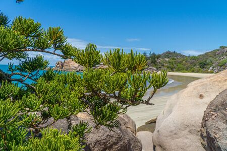 the paradisiacal beach with blue water of Magnetic Island in the northwest of Australiaの写真素材