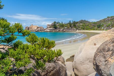 the paradisiacal beach with blue water of Magnetic Island in the northwest of Australiaの写真素材