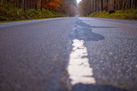 an empty road in autumn leads through a forest with colourful leaves to the horizonの写真素材
