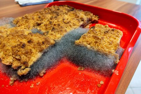 on a cake plate there is a plum cake on which a large mould has grownの写真素材