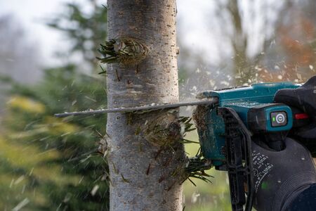 a man saws a tree trunk with a chainsaw and sees it flyingの写真素材