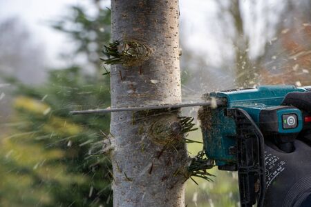 a man saws a tree trunk with a chainsaw and sees it flyingの写真素材