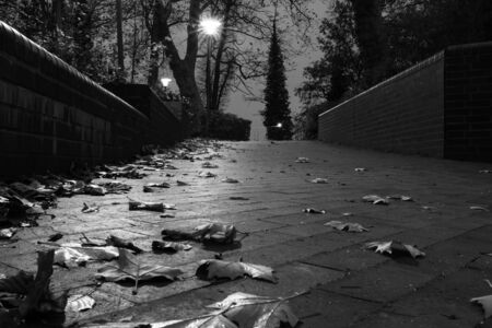 a black and white photograph of a lonely path in the darknessの写真素材