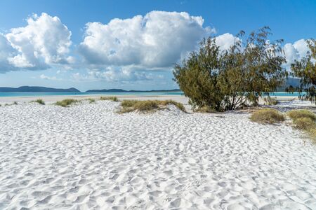 the white beach of the Whitsunday Islands in Australia, which consists of 99 percent quartz sand, and the azure blue seaの写真素材