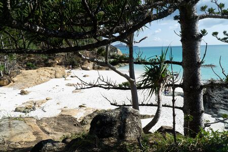 the white beach of the Whitsunday Islands in Australia, which consists of 99 percent quartz sand, and the azure blue seaの写真素材
