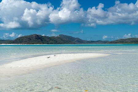 the white beach of the Whitsunday Islands in Australia, which consists of 99 percent quartz sand, and the azure blue seaの写真素材