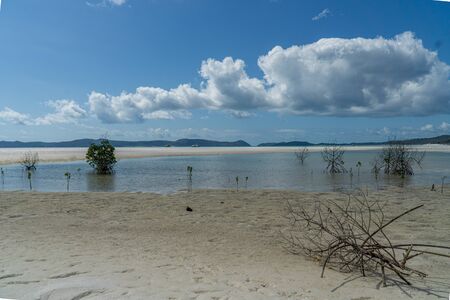 the white beach of the Whitsunday Islands in Australia, which consists of 99 percent quartz sand, and the azure blue seaの写真素材