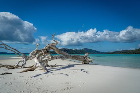the white beach of the Whitsunday Islands in Australia, which consists of 99 percent quartz sand, and the azure blue seaの写真素材