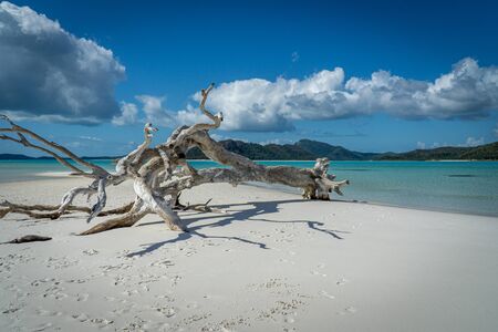 the white beach of the Whitsunday Islands in Australia, which consists of 99 percent quartz sand, and the azure blue seaの写真素材
