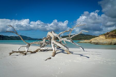 the white beach of the Whitsunday Islands in Australia, which consists of 99 percent quartz sand, and the azure blue seaの写真素材
