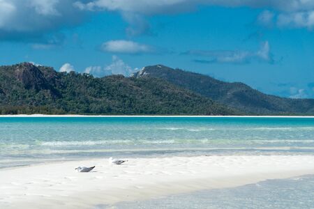 the white beach of the Whitsunday Islands in Australia, which consists of 99 percent quartz sand, and the azure blue seaの写真素材