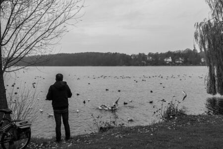 a lonely man stands on the shore of a lake and feeds seagulls, ducks and other birdsの写真素材