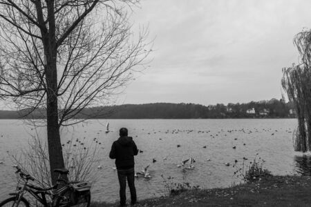 a lonely man stands on the shore of a lake and feeds seagulls, ducks and other birdsの写真素材