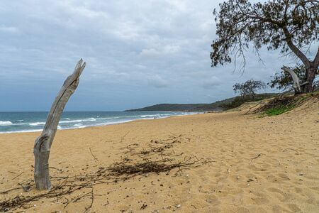 the beautiful beach of Agnes Water in Australiaの写真素材