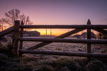 a winterland shortly after sunrise and everything is yellow colouredの写真素材