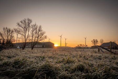 a winterland shortly after sunrise and everything is yellow colouredの写真素材