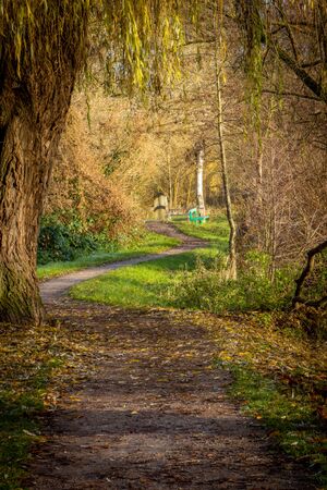 an autumn land stock shortly after sunrise and everything is yellow colouredの写真素材