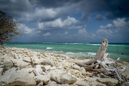 Lady Elliot Island shoreline Great Barrier Reef, Australiaの写真素材