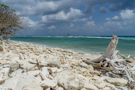 Lady Elliot Island shoreline Great Barrier Reef, Australiaの写真素材